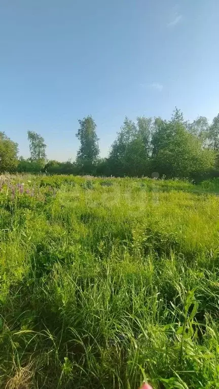 Участок в Санкт-Петербург, Санкт-Петербург, Павловск Славяночка-2 СНТ, ... - Фото 1