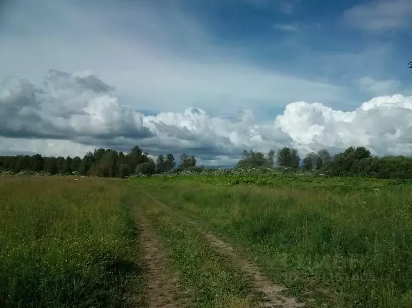 Участок в Тверская область, Конаковский муниципальный округ, д. ... - Фото 1