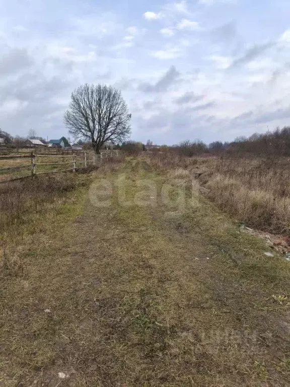Участок в Брянская область, Брянский район, с. Журиничи  (20.0 сот.) - Фото 1