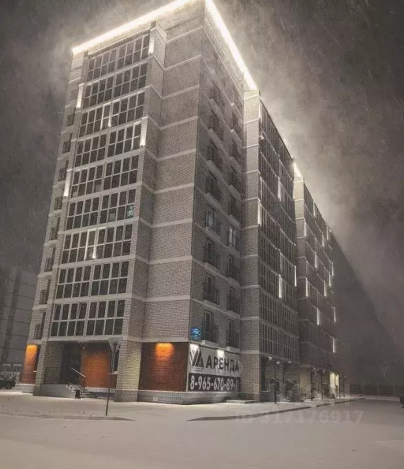 1-к кв. Амурская область, Благовещенский район, с. Чигири ул. ... - Фото 2