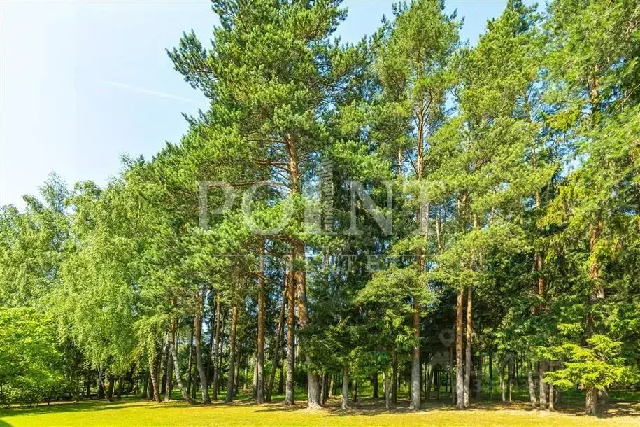 Участок в Московская область, Красногорск городской округ, д. ... - Фото 1