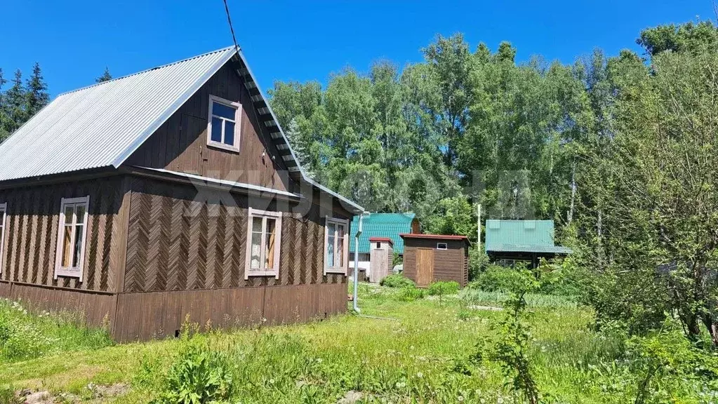 Дом в Новосибирская область, Мошковский район, с. Сокур Садовая ул. ... - Фото 1