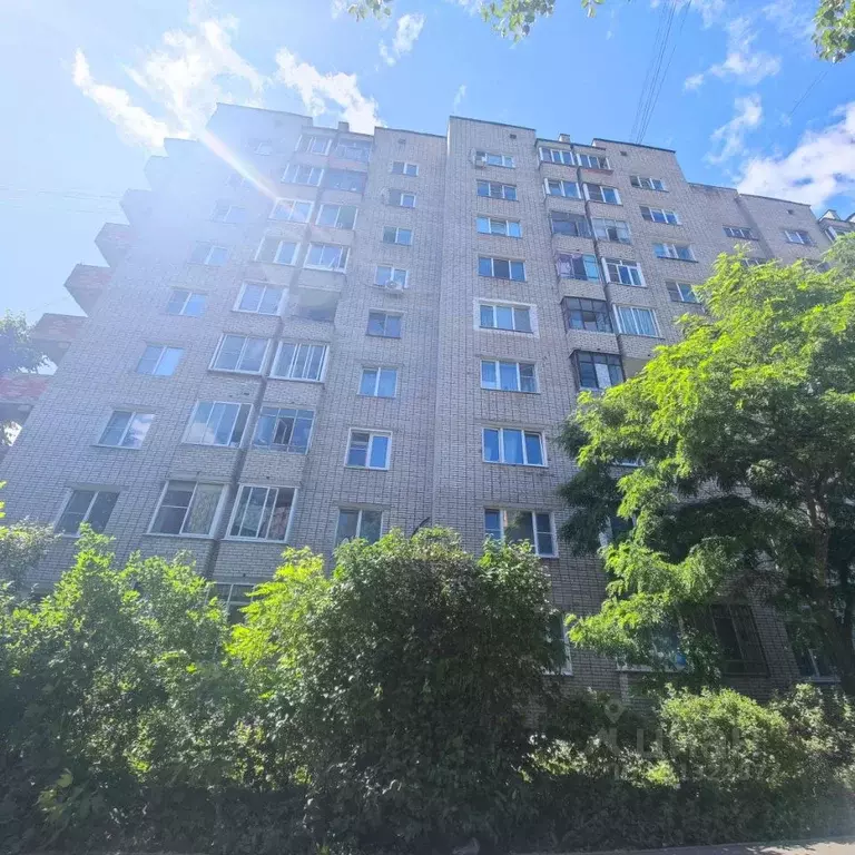 1-к кв. Московская область, Пушкинский городской округ, Лесной пгт ул. ... - Фото 1