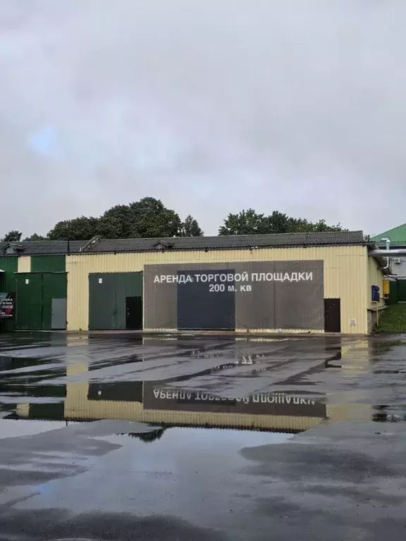 Помещение свободного назначения в Ленинградская область, Ломоносовский ... - Фото 1