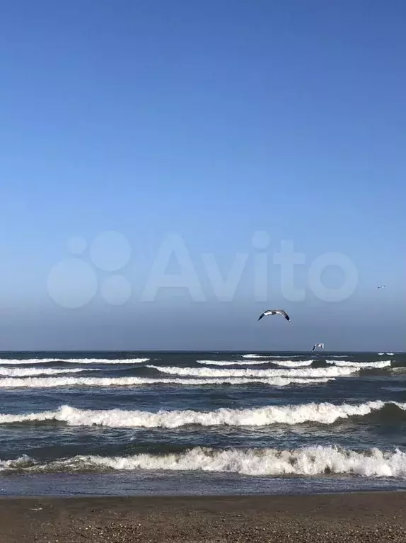 1-к. квартира, 50 м, 8/11 эт. - Фото 0