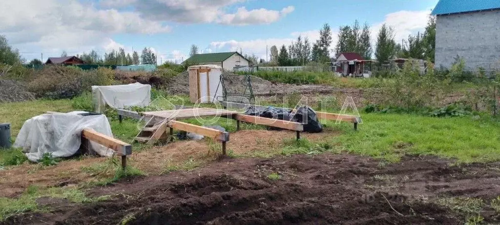 Участок в Тюменская область, Тюмень Садовое товарищество Липовый ... - Фото 1