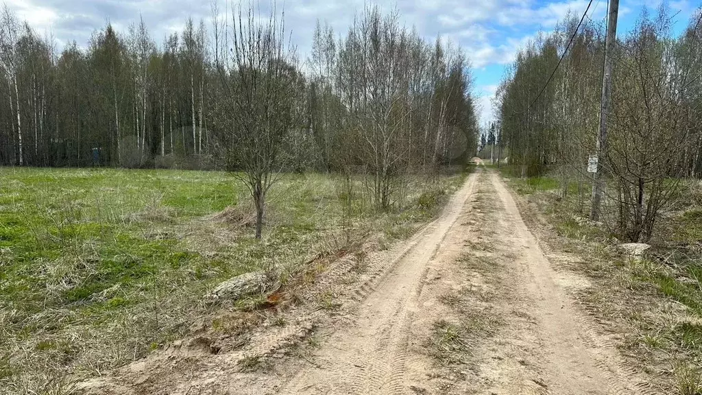 Участок 10 сот. (СНТ, ДНП) - Фото 1