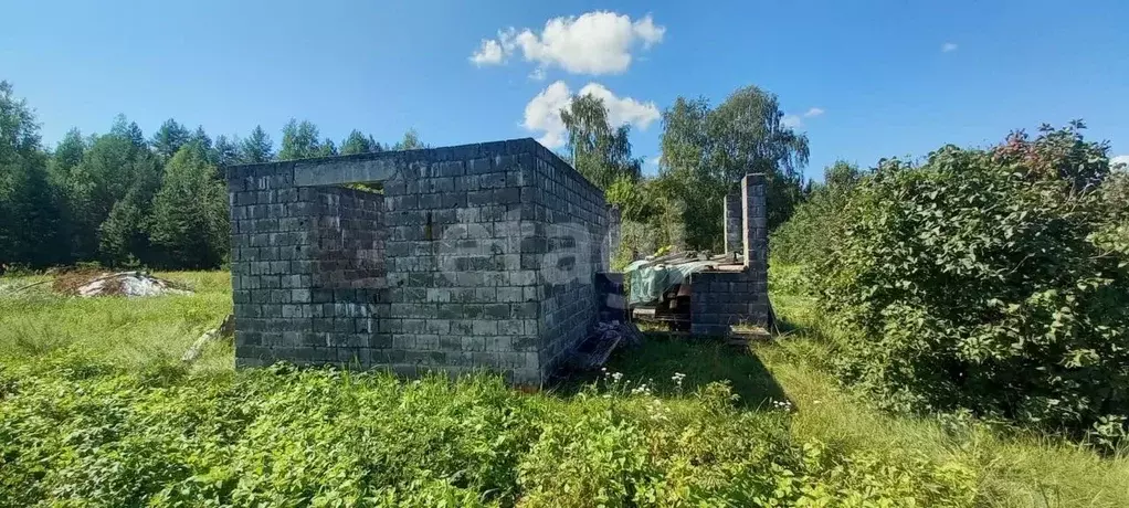 Участок в Брянская область, Фокино  (10.7 сот.) - Фото 1