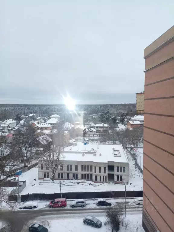 1-к кв. Московская область, Звенигород Одинцовский городской округ, ... - Фото 1