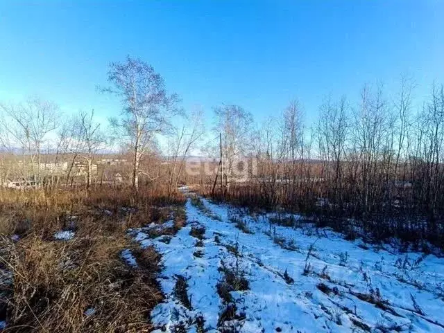 Участок в Камчатский край, Елизово ул. Рябиновая (12.0 сот.) - Фото 1