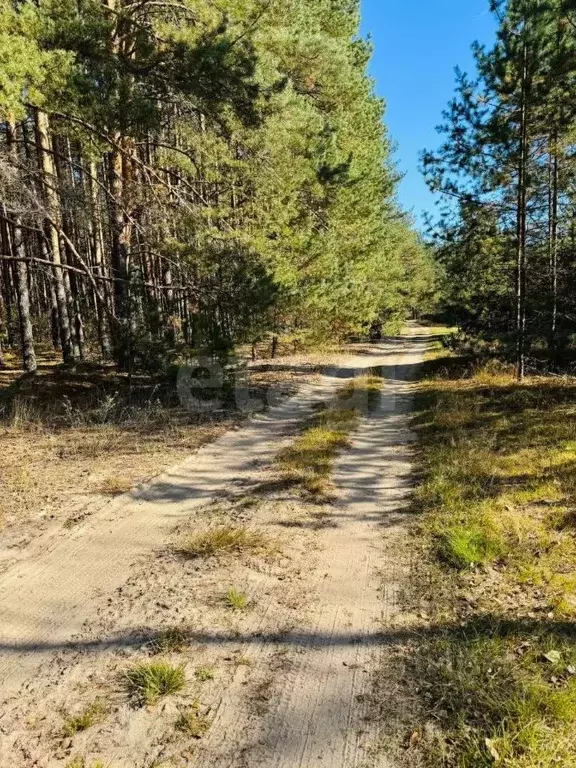 Дом в Владимирская область, Петушинский муниципальный округ, д. ... - Фото 2