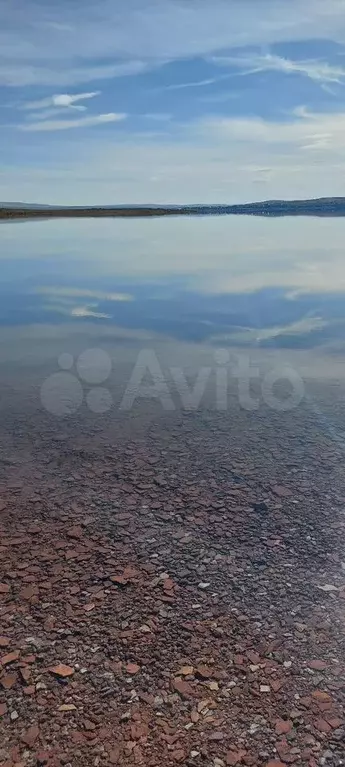 Участок 24 сот. (СНТ, ДНП) - Фото 1