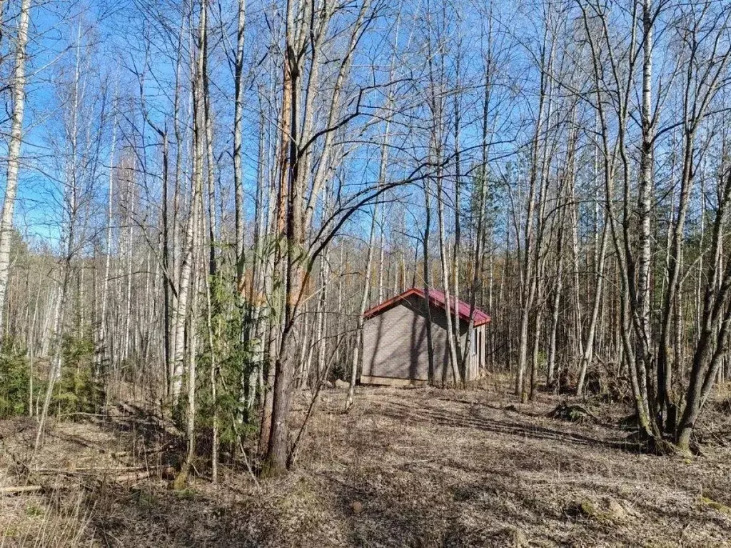 Дом в Ленинградская область, Приозерский район, Мельниковское с/пос, ... - Фото 2
