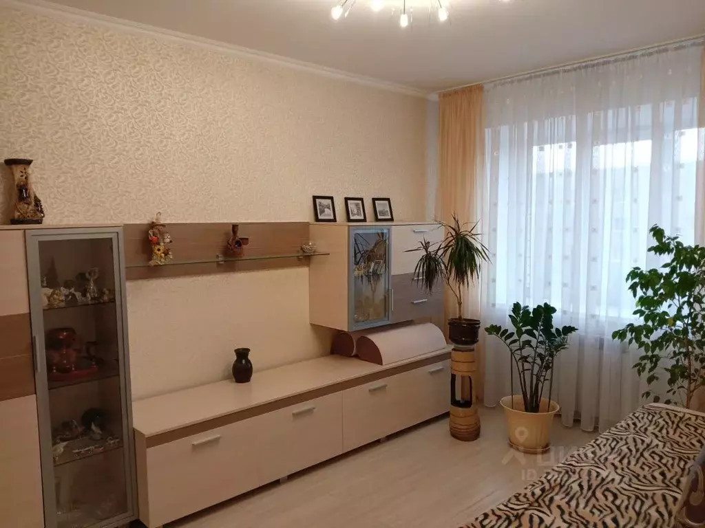 1-к кв. Чувашия, Чебоксары ул. Энтузиастов, 24к1 (32.4 м) - Фото 2