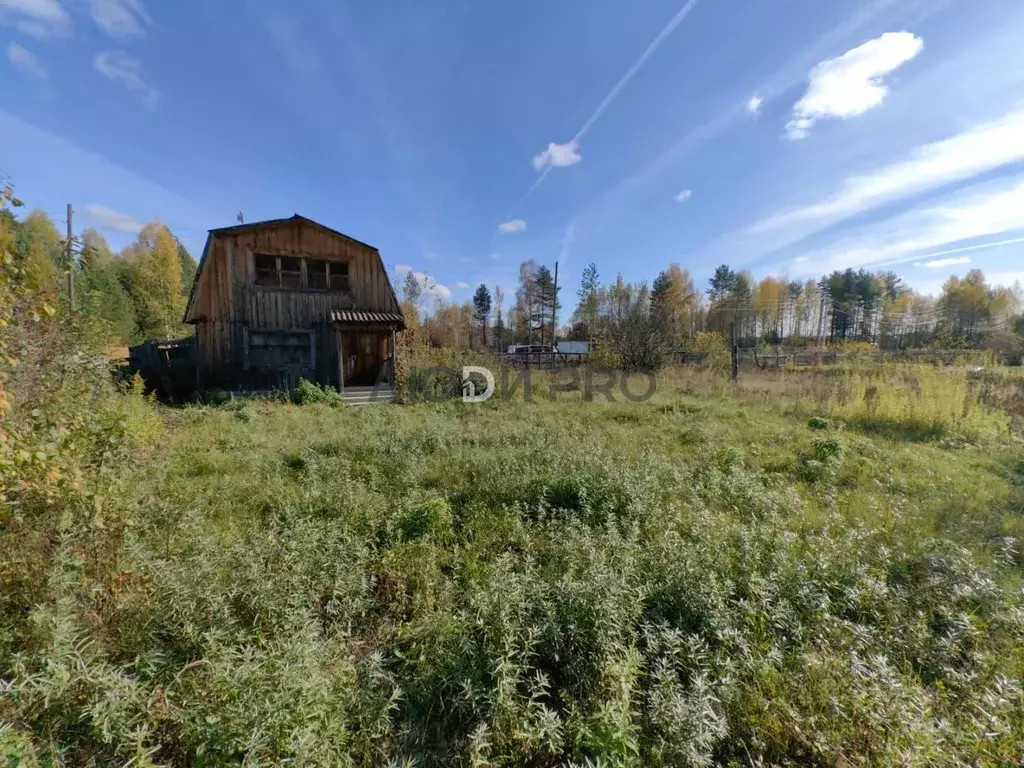 Участок в Кировская область, Слободской район, Бобинское с/пос, Чистые ... - Фото 1