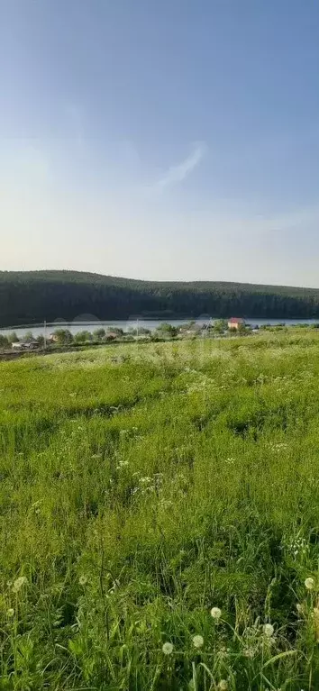 Участок 10 сот. (ИЖС) - Фото 1