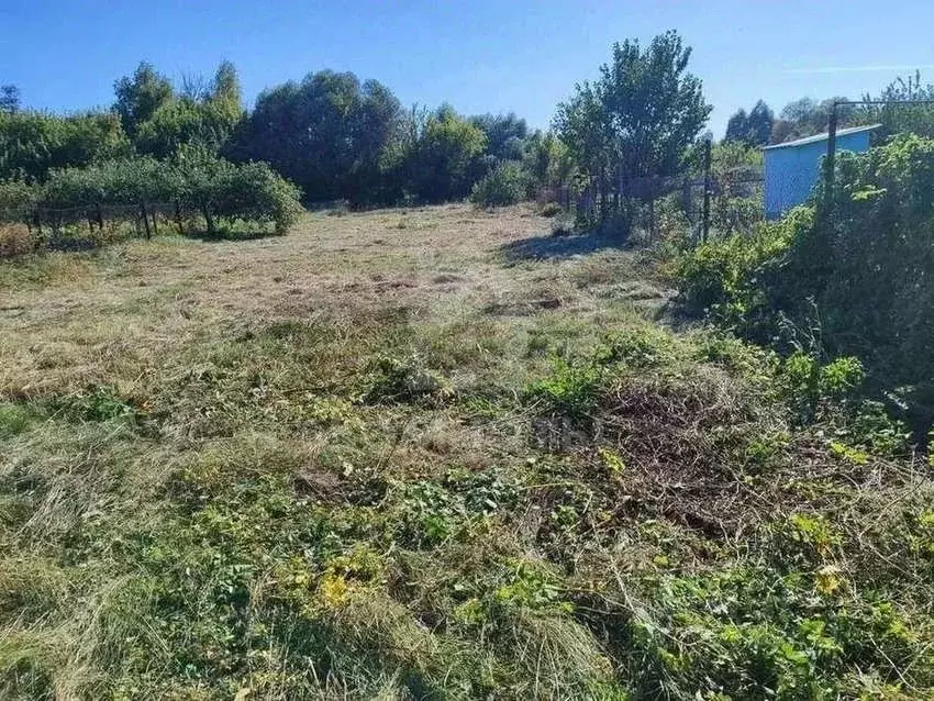 Участок в Воронежская область, с. Новая Усмань ул. Советская, 329 ... - Фото 1