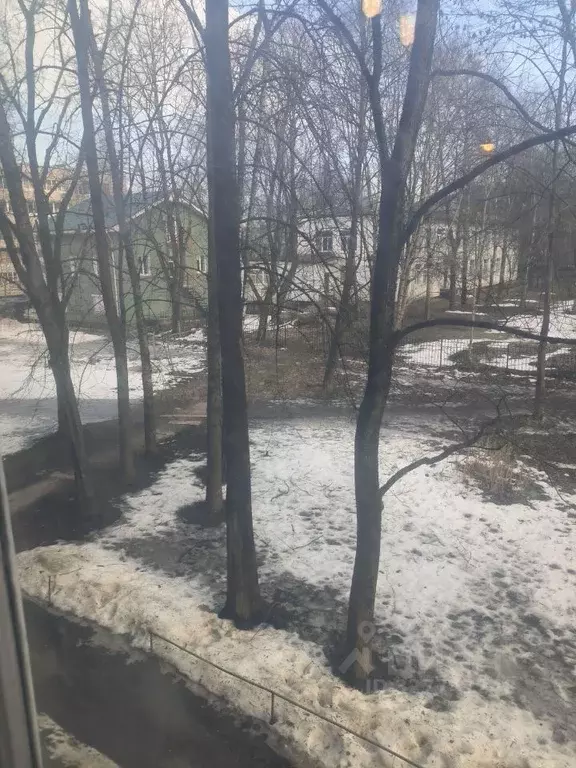 Студия Новгородская область, Великий Новгород Новолучанская ул., 16 ... - Фото 1