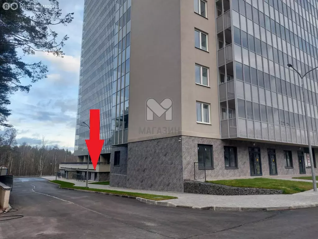 Помещение свободного назначения (228.7 м) - Фото 2