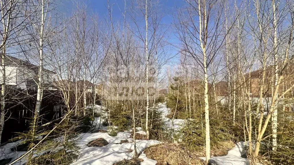 Участок в Московская область, Солнечногорск городской округ, Бакеево-3 ... - Фото 2