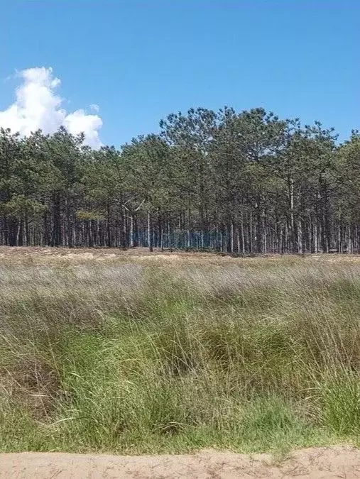 Участок в Крым, Ленинский район, Останинское с/пос, с. Песочное ул. ... - Фото 0