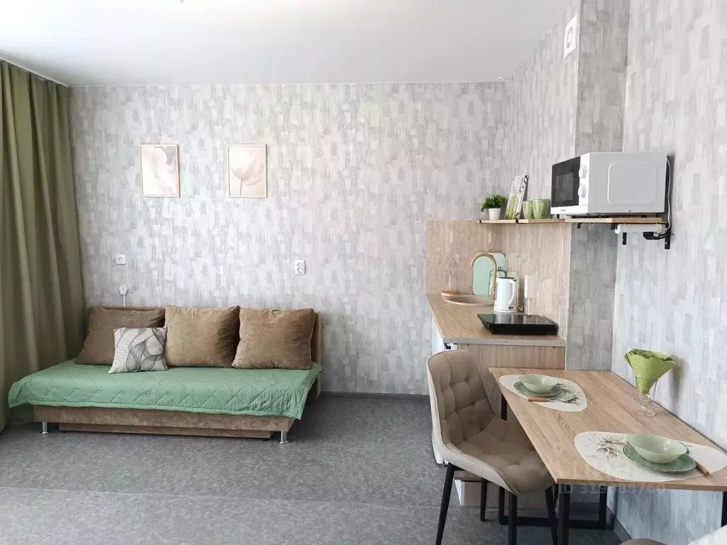 Студия Челябинская область, Челябинск Набережная ул., 7Б (24.0 м) - Фото 1