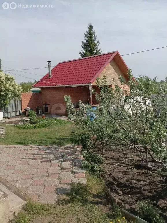 Участок в муниципальный округ Омский район, СНТ Шинник (10 м) - Фото 2