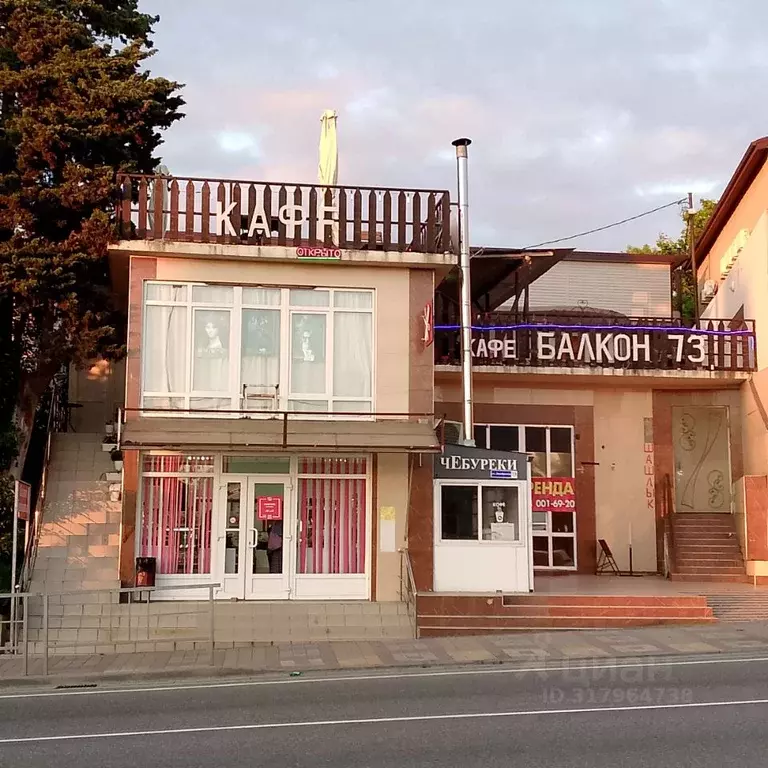 Помещение свободного назначения в Краснодарский край, Сочи ул. ... - Фото 1