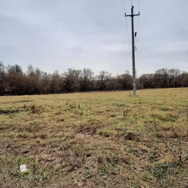 Участок в Московская область, Ступино городской округ, д. Тишково ул. ... - Фото 0