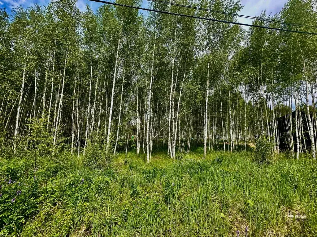 Участок в Московская область, Одинцовский городской округ, пос. ... - Фото 2