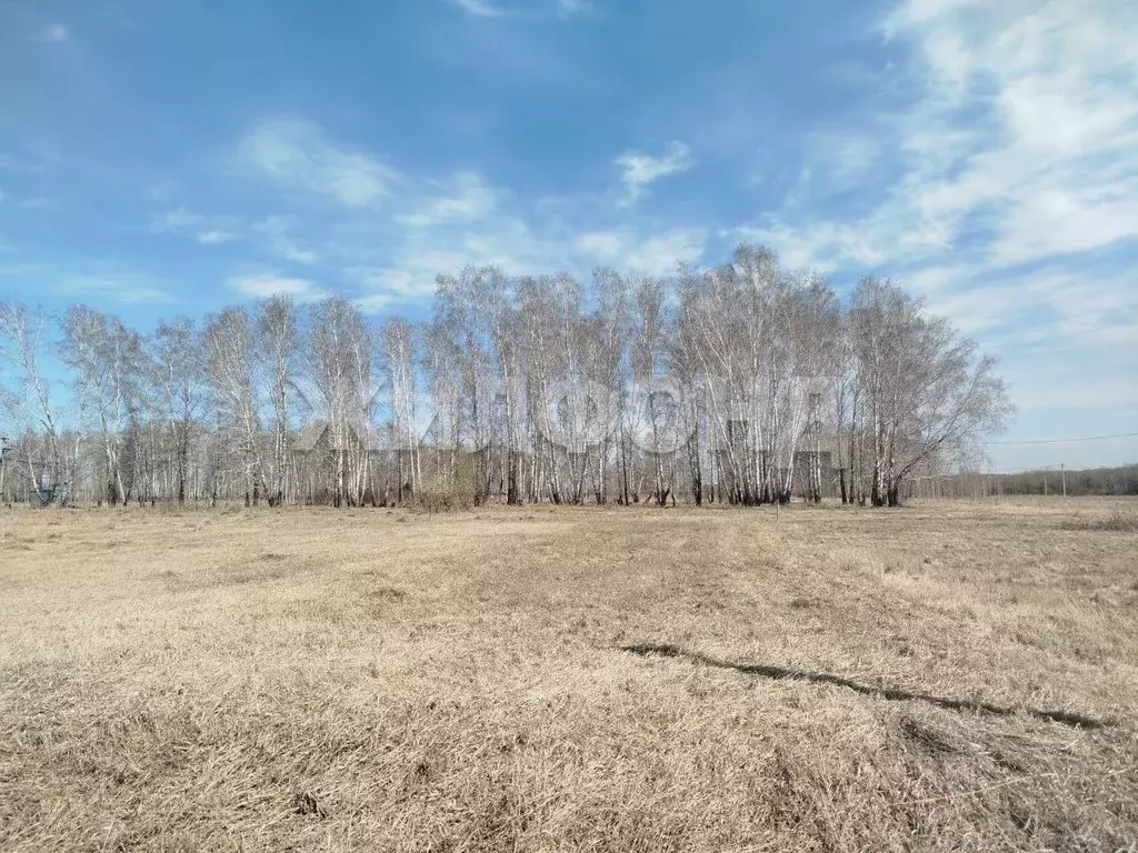 Участок в Новосибирская область, Новосибирский район, Верх-Тулинский ... - Фото 1