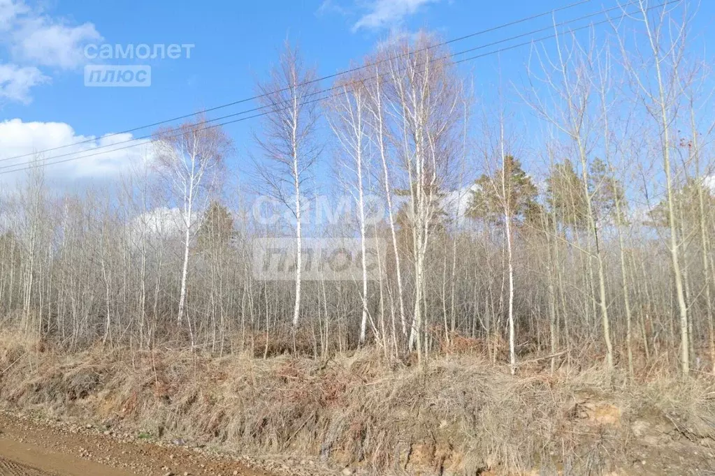 Участок в Иркутская область, Иркутский муниципальный округ, Тихая ... - Фото 2