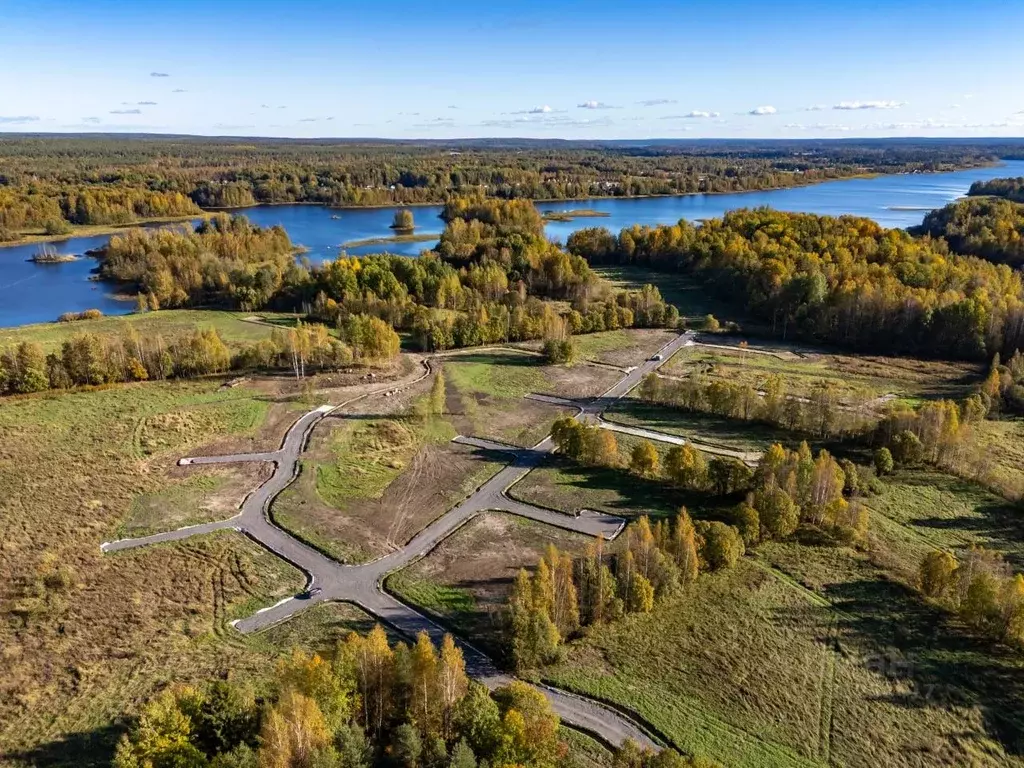 Участок в Ленинградская область, Приозерский район, Ромашкинское ... - Фото 1