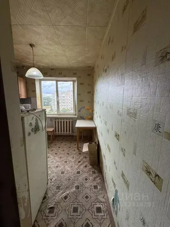 2-к кв. Новгородская область, Боровичский муниципальный округ, ... - Фото 2