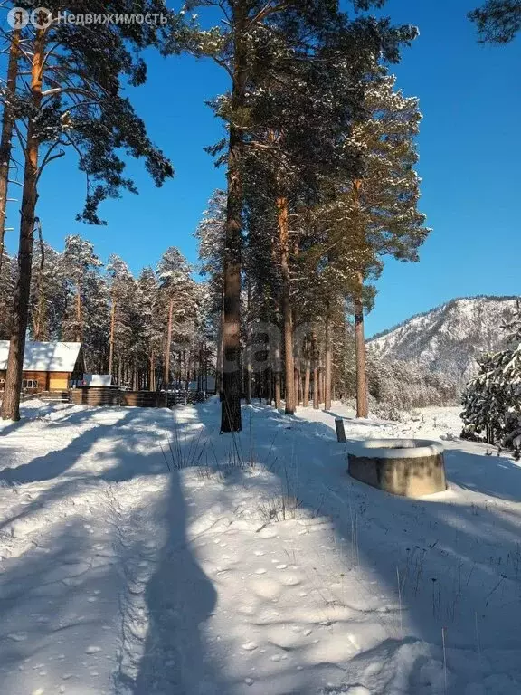 Дом в Усть-Сема, улица Дорожников (32 м) - Фото 1