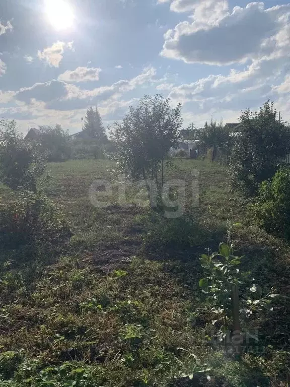Дом в Курганская область, Далматово ул. Гоголя (23 м) - Фото 0