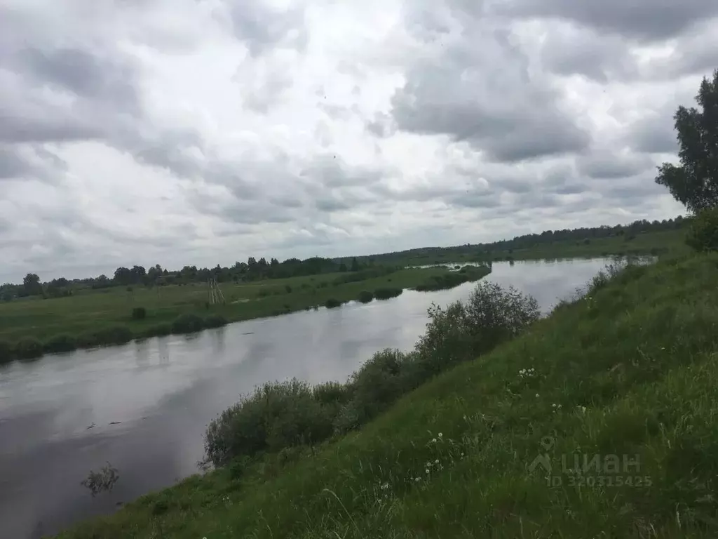 Участок в Псковская область, Палкинский район, Новоуситовская волость, ... - Фото 0
