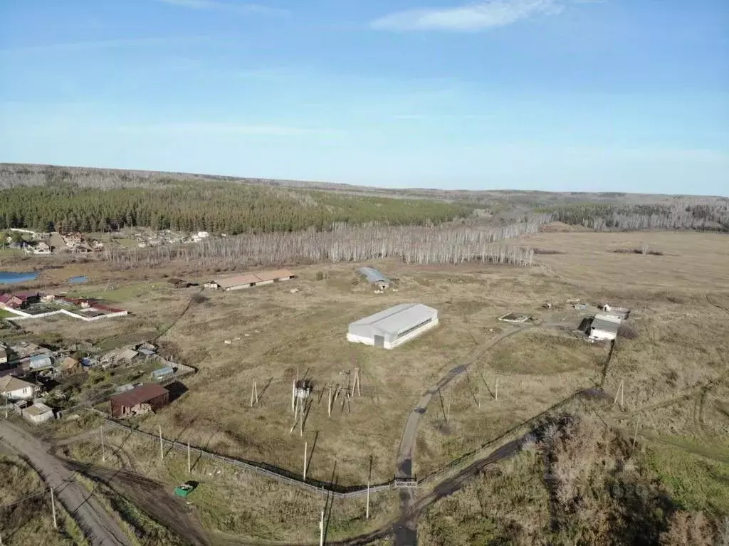 Склад в Красноярский край, Емельяновский муниципальный округ, пос. ... - Фото 2