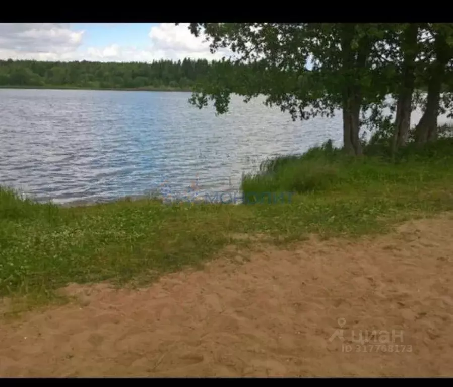 Участок в Владимирская область, Гороховецкий район, Денисовское ... - Фото 1