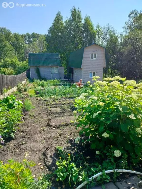 Дом в Бердск, СНТ Родник 2 (70 м) - Фото 1