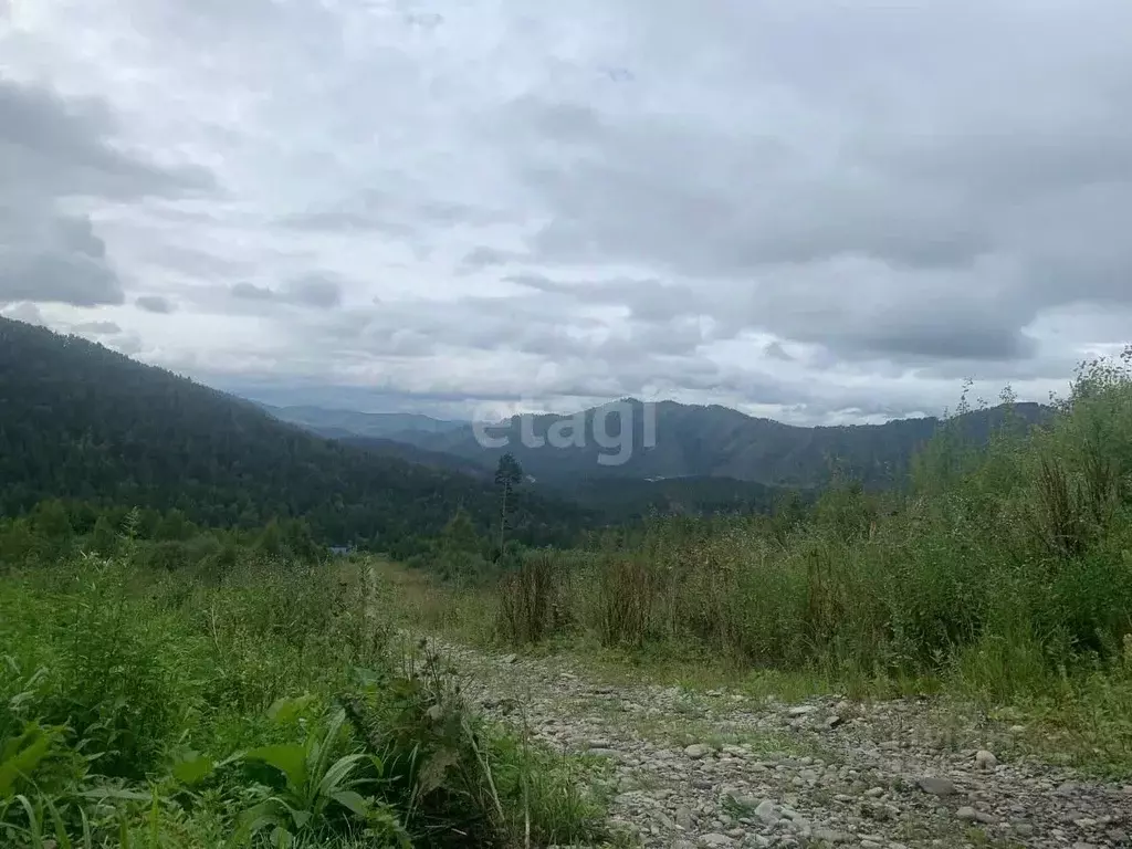 Участок в Алтай, Майминский район, с. Озерное ул. Тихая (12.4 сот.) - Фото 0