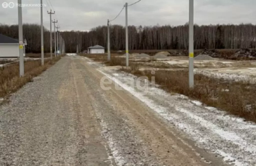 Участок в Тюменский муниципальный округ, село Каменка (5.5 м) - Фото 2