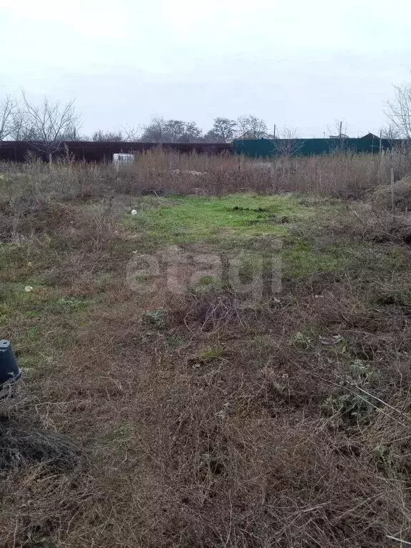 Участок в Энгельсский район, Терновское муниципальное образование, ... - Фото 1