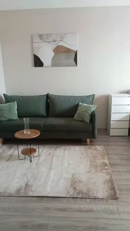 1-к кв. Московская область, Балашиха Новое Павлино мкр, ул. Троицкая, ... - Фото 1