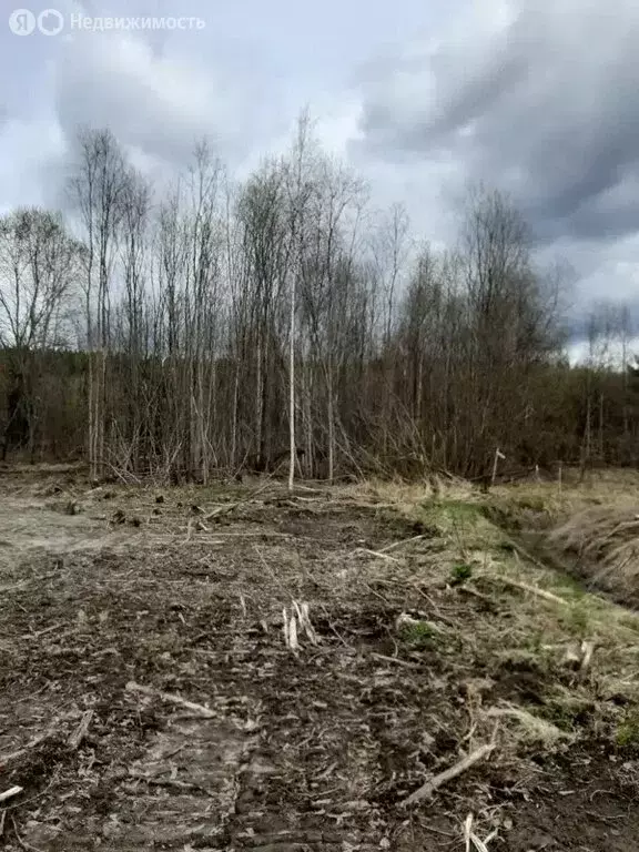 Участок в Республика Карелия, Сортавальский муниципальный округ, ... - Фото 0