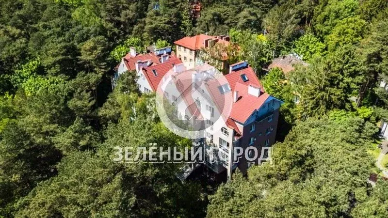 Помещение свободного назначения в Калининградская область, Светлогорск ... - Фото 1