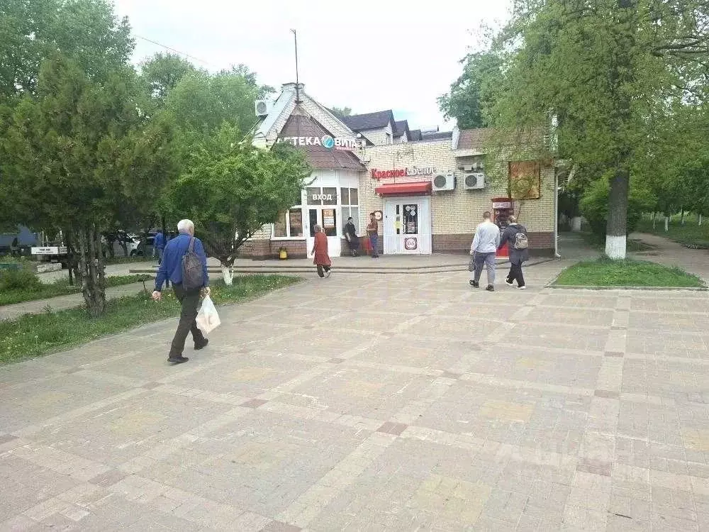 Торговая площадь в Белгородская область, Белгород просп. Богдана ... - Фото 1