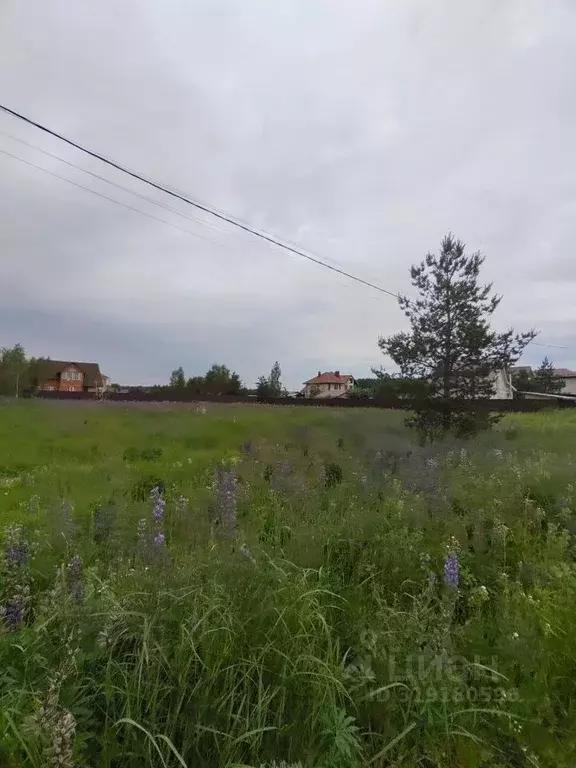 Участок в Владимирская область, Киржачский муниципальный округ, с. ... - Фото 0