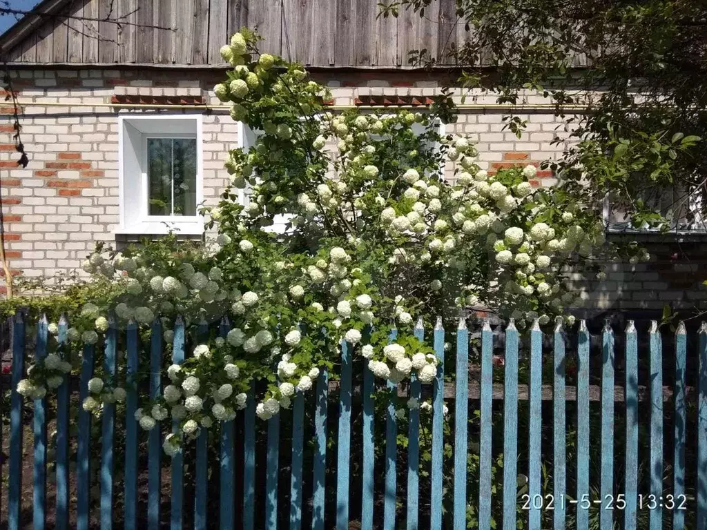Купить Дом В Белгородской Области Грайворонском Районе