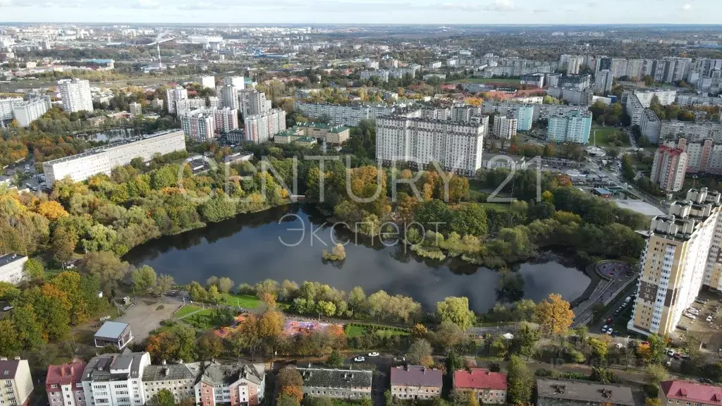 1-к кв. Калининградская область, Калининград ул. Генерала Толстикова, ... - Фото 2